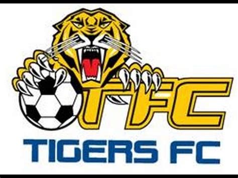 cooma tigers fc